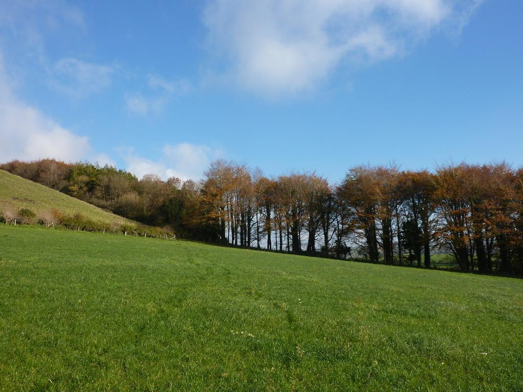 Higher Melcombe Manor Ansty  Esterno foto