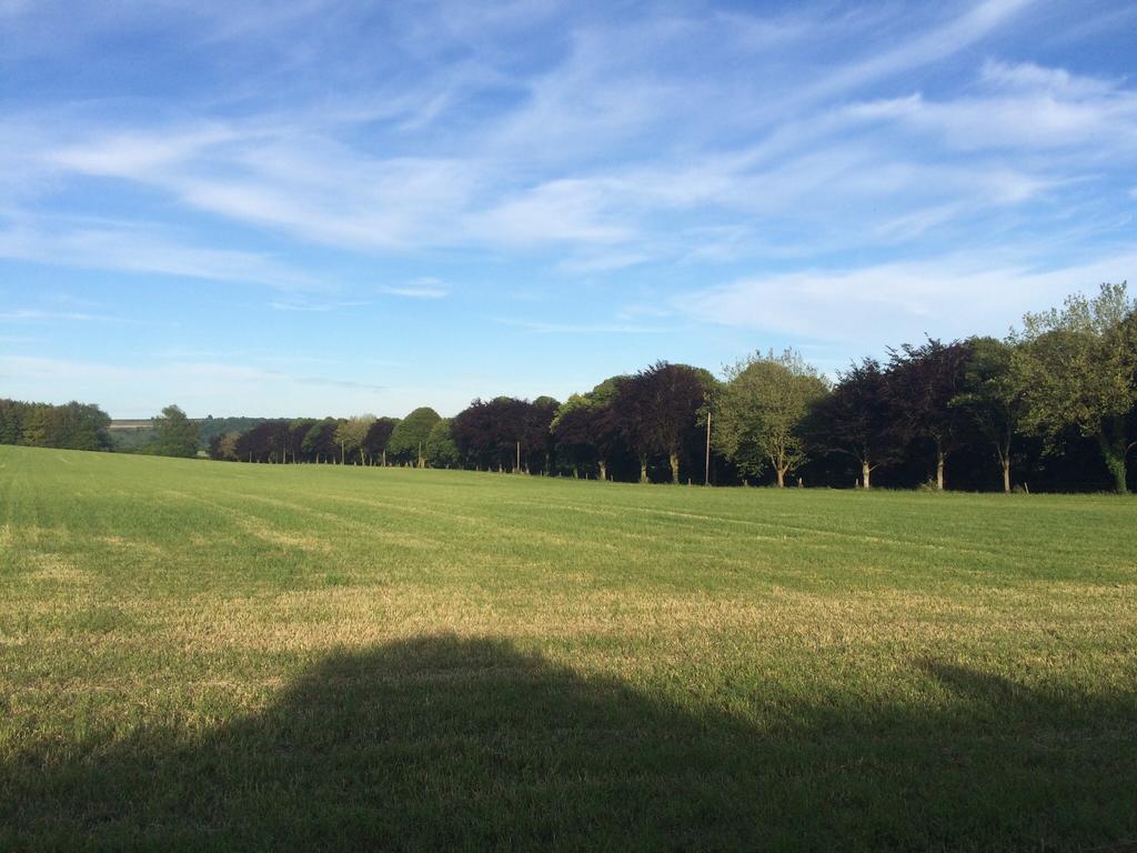Higher Melcombe Manor Ansty  Esterno foto